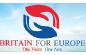 BritainforEuropelogocopy